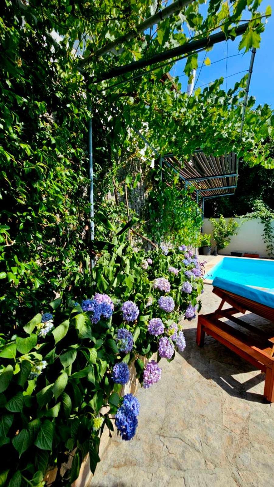 Lovely House With Swimming Pool Mostar Exterior foto